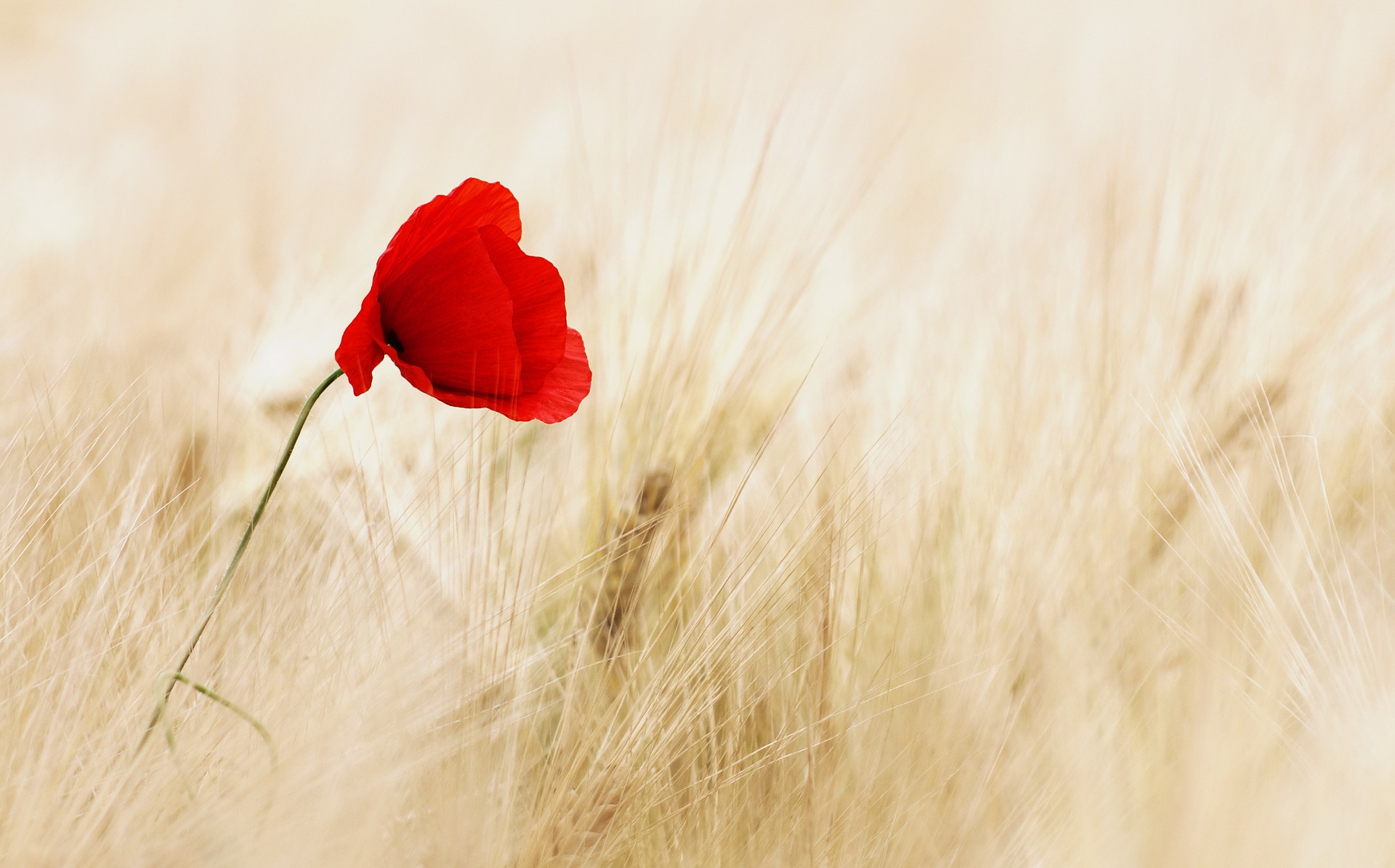 Is This All There Is? Rediscovering Yourself in Life’s Third Stage